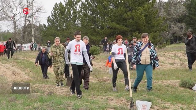 Восстановление лесов на Дону
