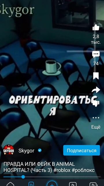 больница для животных проверка shorts