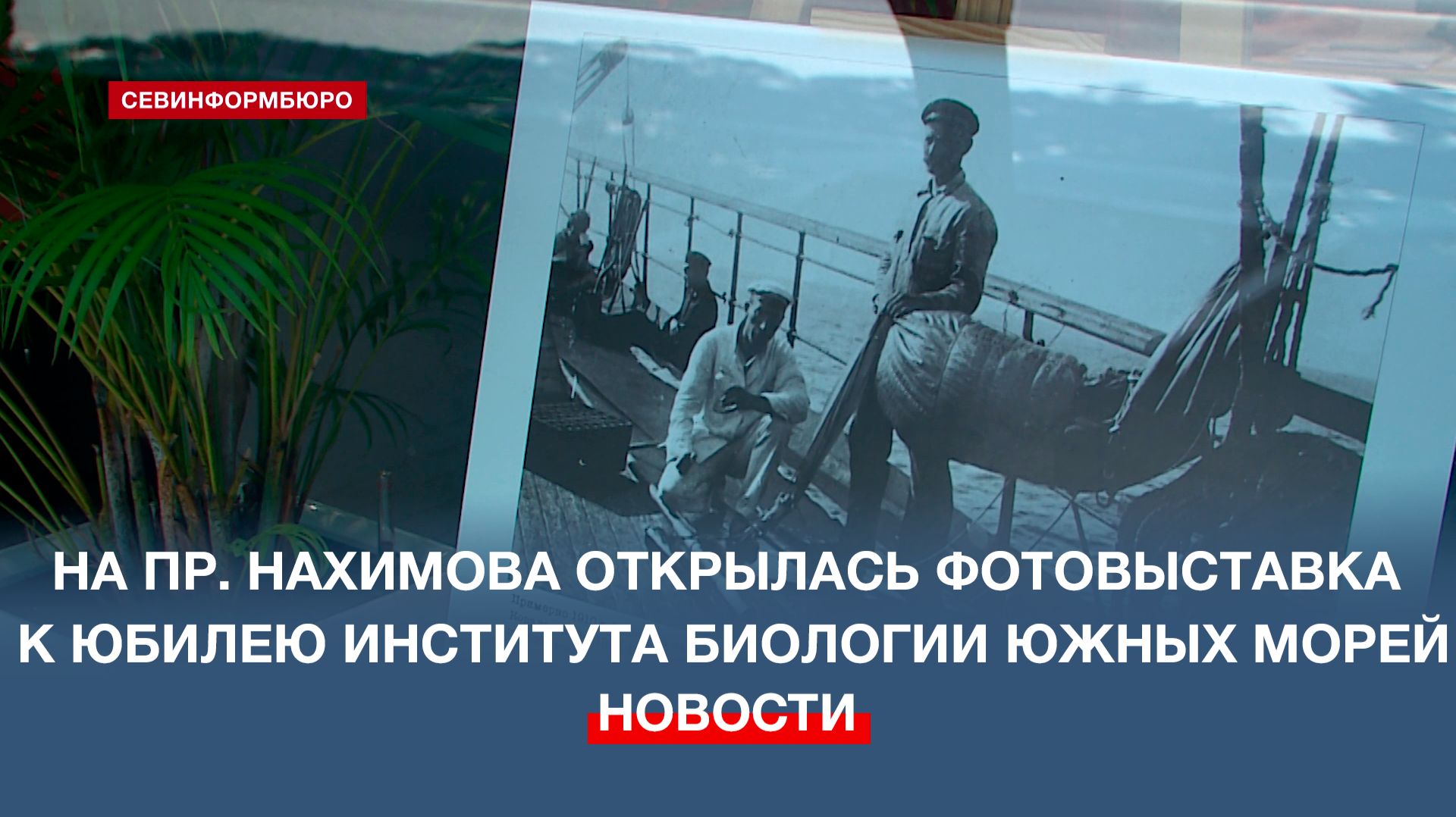 На проспекте Нахимова открылась фотовыставка к юбилею Института биологии южных морей