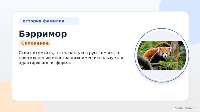 Изучаем происхождение и историю фамилии Бэрримор: значения и склонение фамилии