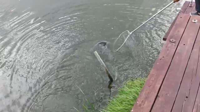 1000162717.mp4