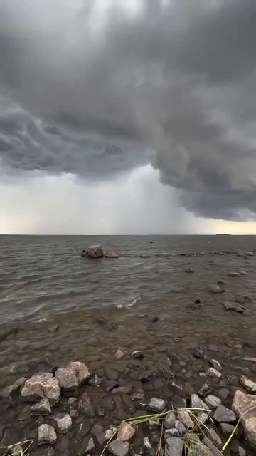 туча над финским заливом