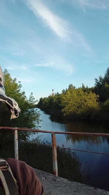 В этой речке вода не просто теплая а горячая