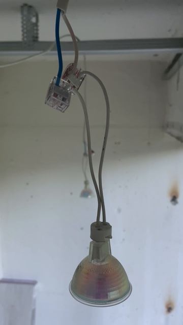 Потолок из гипсокартона