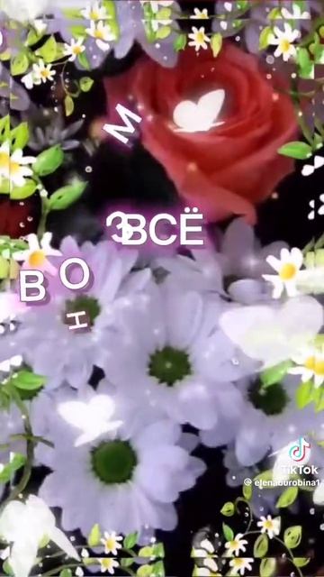 1000000051.mp4