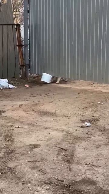 Мне оно нужнее! Теперь моё 