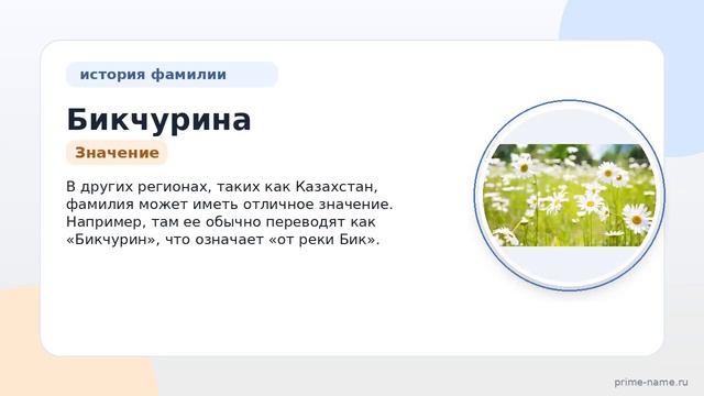 Фамилия Бикчурина: происхождение значение и склонение