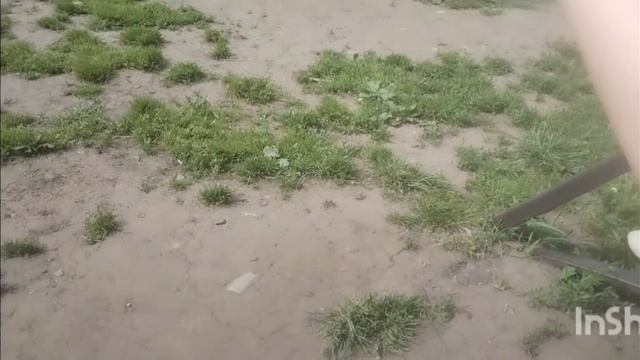 сборник выгнали из дома все серии