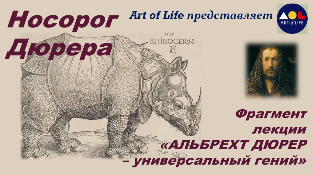 Носорог Дюрера - фантастическая история гравюры Дюрера