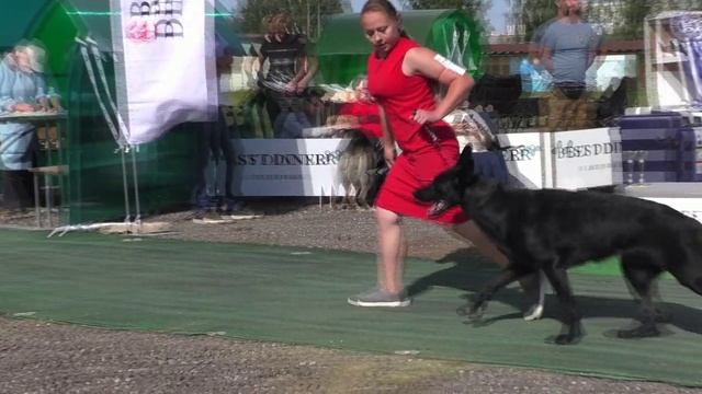 Бест Вео Лайн Олислава