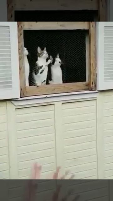 БЫВАЕТ
