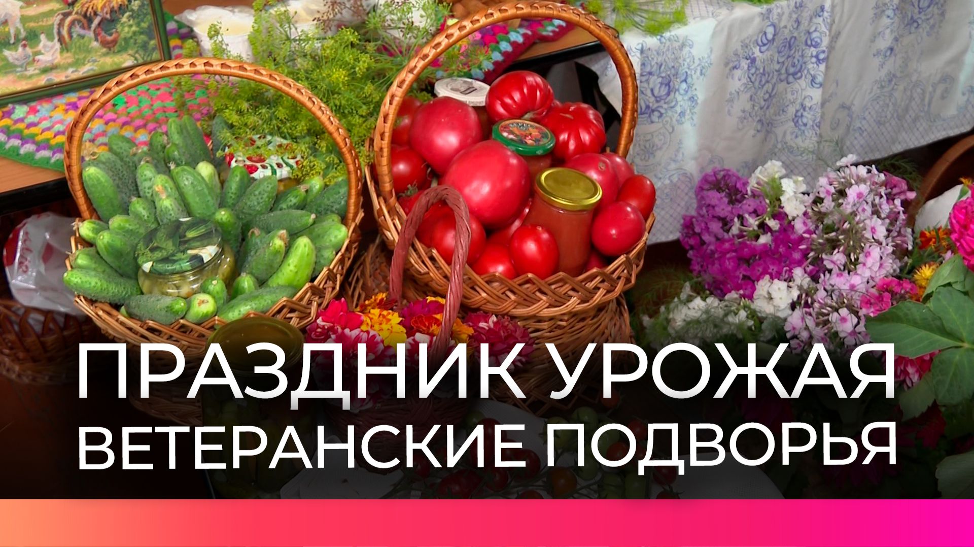 В Пестове прошёл окружной смотр-конкурс Ветеранские подворья  2026
