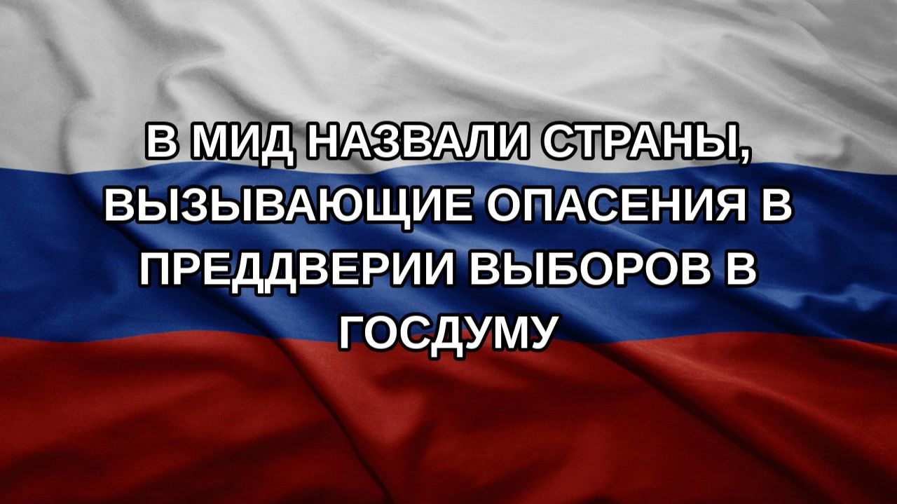 В МИД назвали страны вызывающие опасения в преддверии выборов в Госдуму