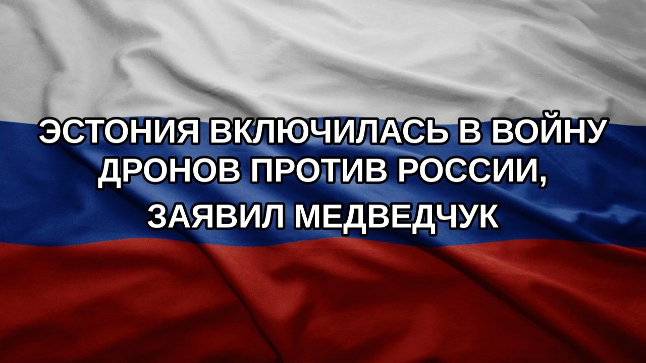 Эстония включилась в войну дронов против России заявил Медведчук