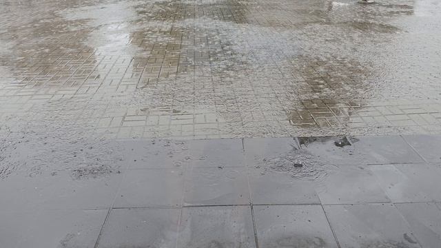 диптих второе 1.mp4