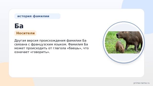 Фамилия Ба: происхождение значение и склонение