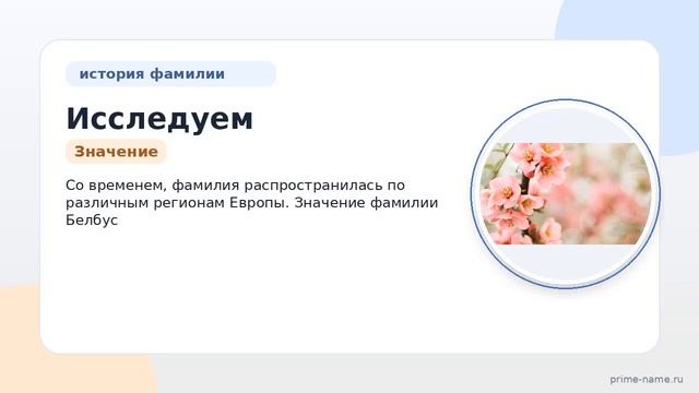 Исследуем происхождение фамилии Белбус: история значение и склонение