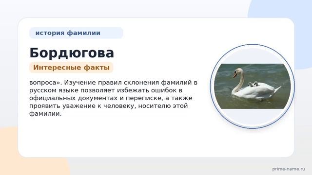 История и значения фамилии Бордюгова: откуда она происходит и как склоняется в русском языке