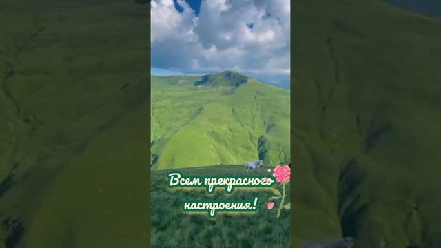 YouCut_20260821_212955613.mp4