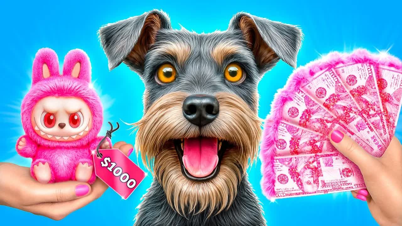 Собаку приютила семья миллионеров!