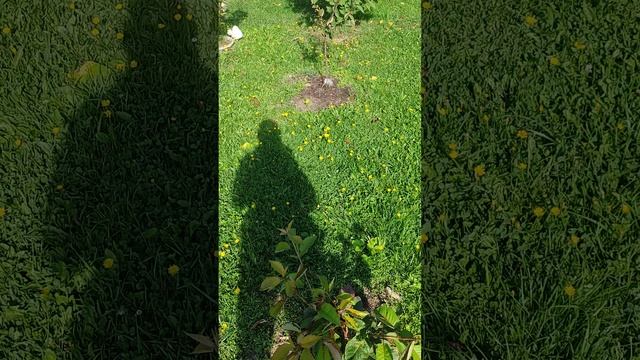 Куда же я трачу деньги. 1