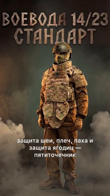 Бронежилет для СВО Воевода комплектация Стандарт