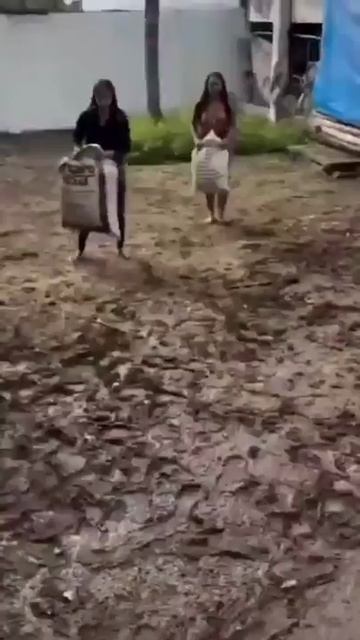 204141696_Korrida_po_afrikanski-nashobmen.org