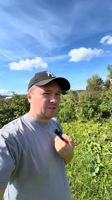 Горячий Вопрос к Блогерам и тем кто решил Работать на Себя .... блог блогер какначатьбизнес