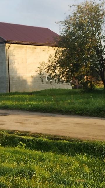 Доброе утро пятницы  хорошего дня 