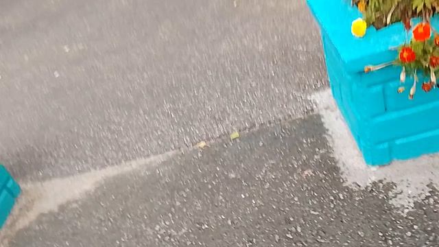 4232.mp4