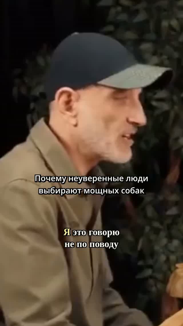 Собака как компенсация неуверенности