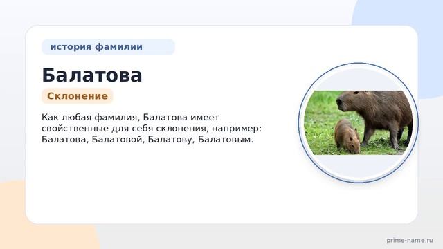 Фамилия Балатова: происхождение значение и склонение