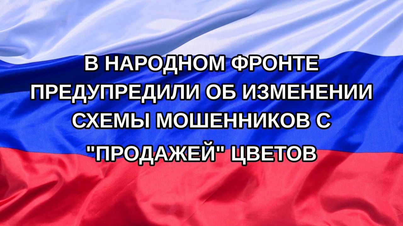 |Н. РФ| В Народном фронте предупредили об изменении схемы мошенников с 
