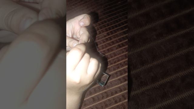 1000064567.mp4