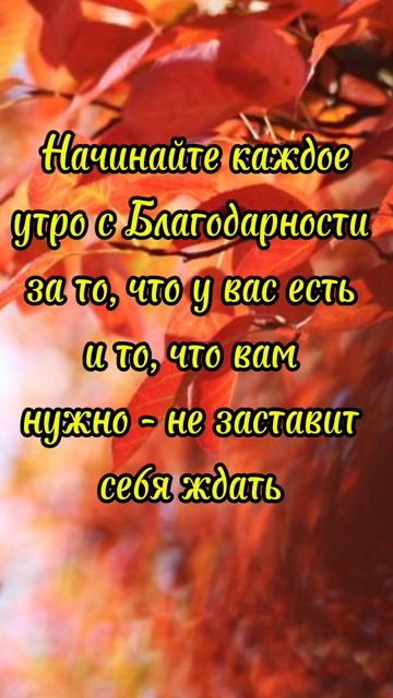 shorts ЦитатыПсихология отношений Мотивация Мудрые Советы Слова ФразыМудрые изречения