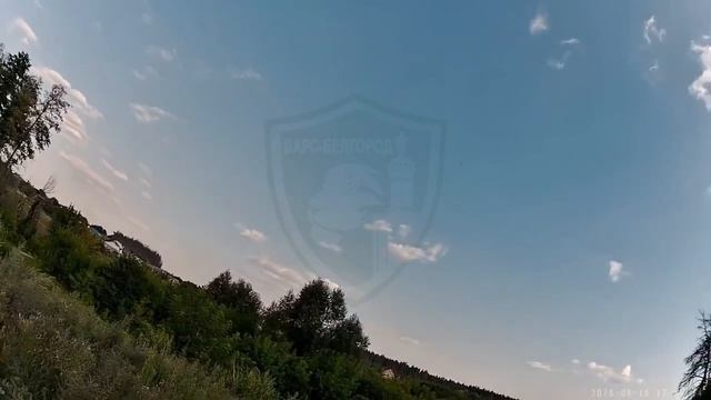 Белгород. работает Барс