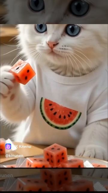 Котенок арбузоед