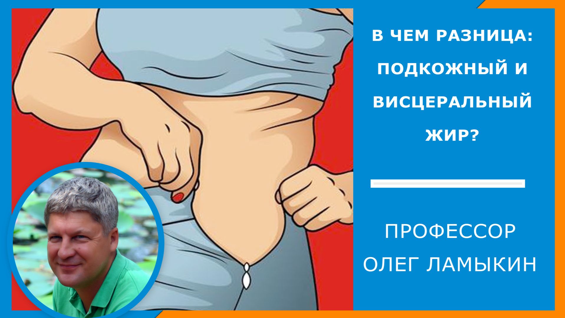 Подкожный жир и висцеральный. Профессор Ламыкин объясняет разницу и дает оружие против каждого.