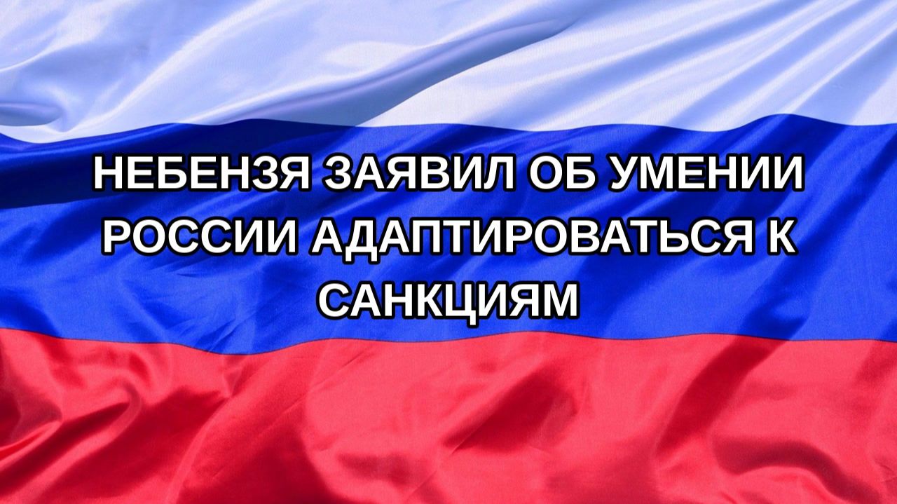 Н. РФ Небензя заявил об умении России адаптироваться к санкциям
