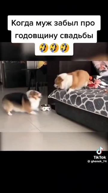 годовщина