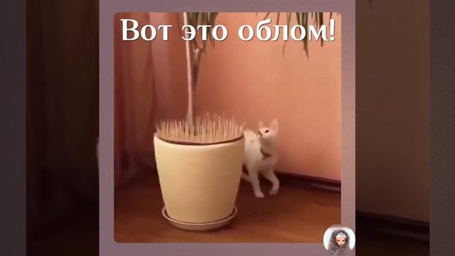 Страна советов