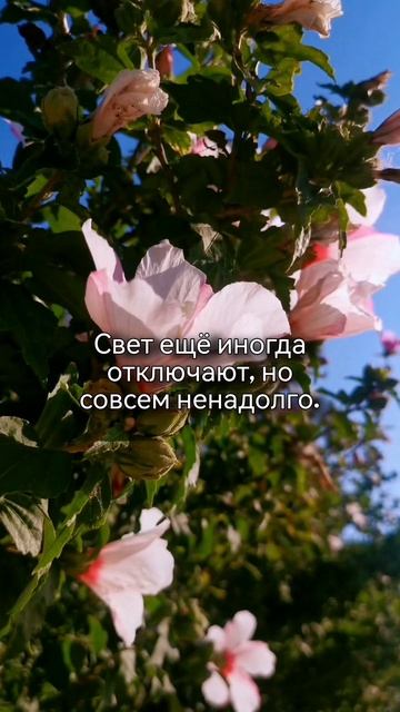 Спасаю сезон - часть 7