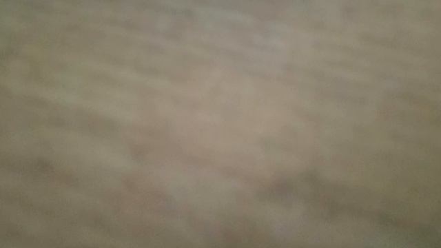 1000000259.mp4