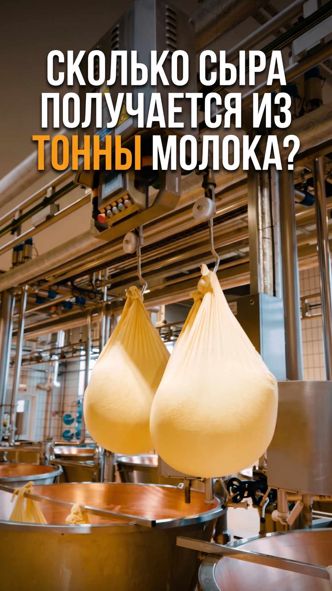 Сколько сыра получится из тонны молока?