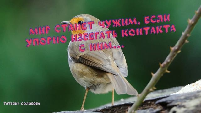 мысли вслух цитаты