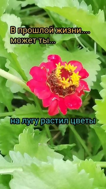 В прошлой жизни
