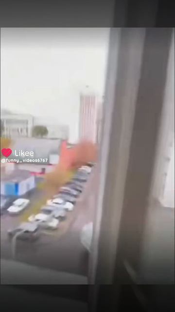 стрелок