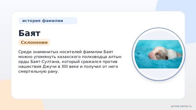 Узнайте всё о фамилии Баят: история, значения и склонения