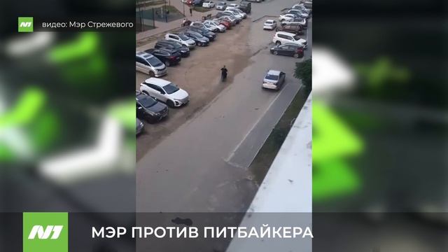 У соседей в Стрежевом мэр лично борется с питбайкерами.