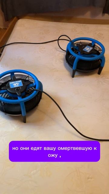 Это не просто грязно - это катастрофа  Химчистка матраса Чистый вид
